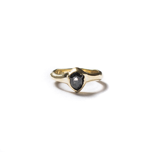 Anillo Irregular — Salt & Pepper Shield Cut